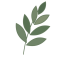 leaf-sprig